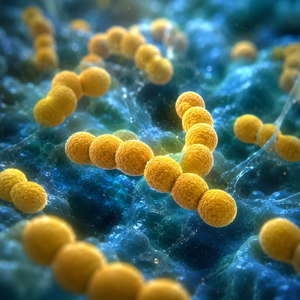 Are Oral Probiotics Safe to Take Every Day?