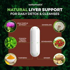 Illustration of a supplement capsule with natural liver support ingredients and their sources on a green leafy background.