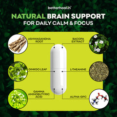 Vitamins with natural brain support ingredients on a green background