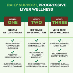 Chart detailing daily support for progressive liver wellness over three months with green and brown text on a white background.